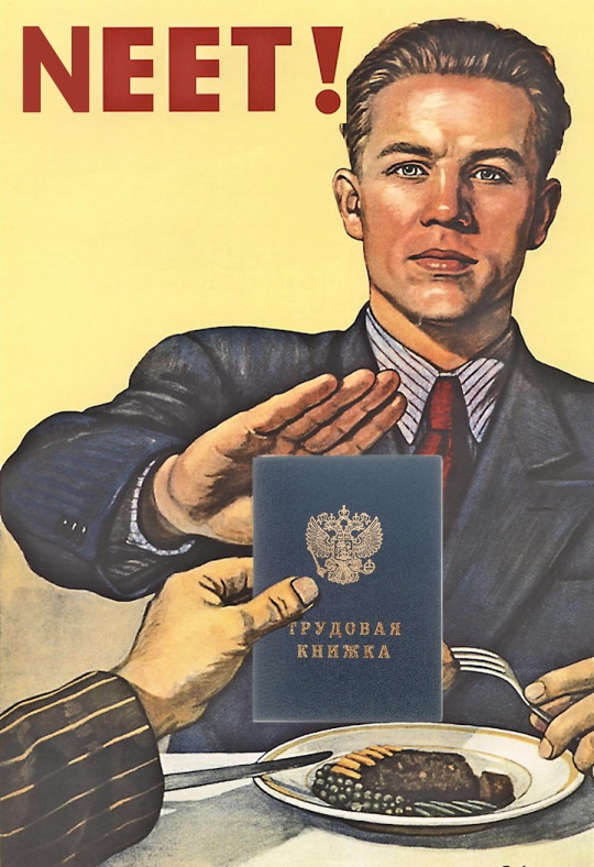 Пандемия одиночества и социальной изоляции: хикикомори, ноулайферы, NEET и другие затворники - 7